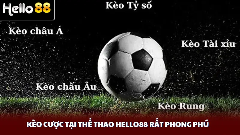 Kèo cược tại thể thao Hello88 rất phong phú
